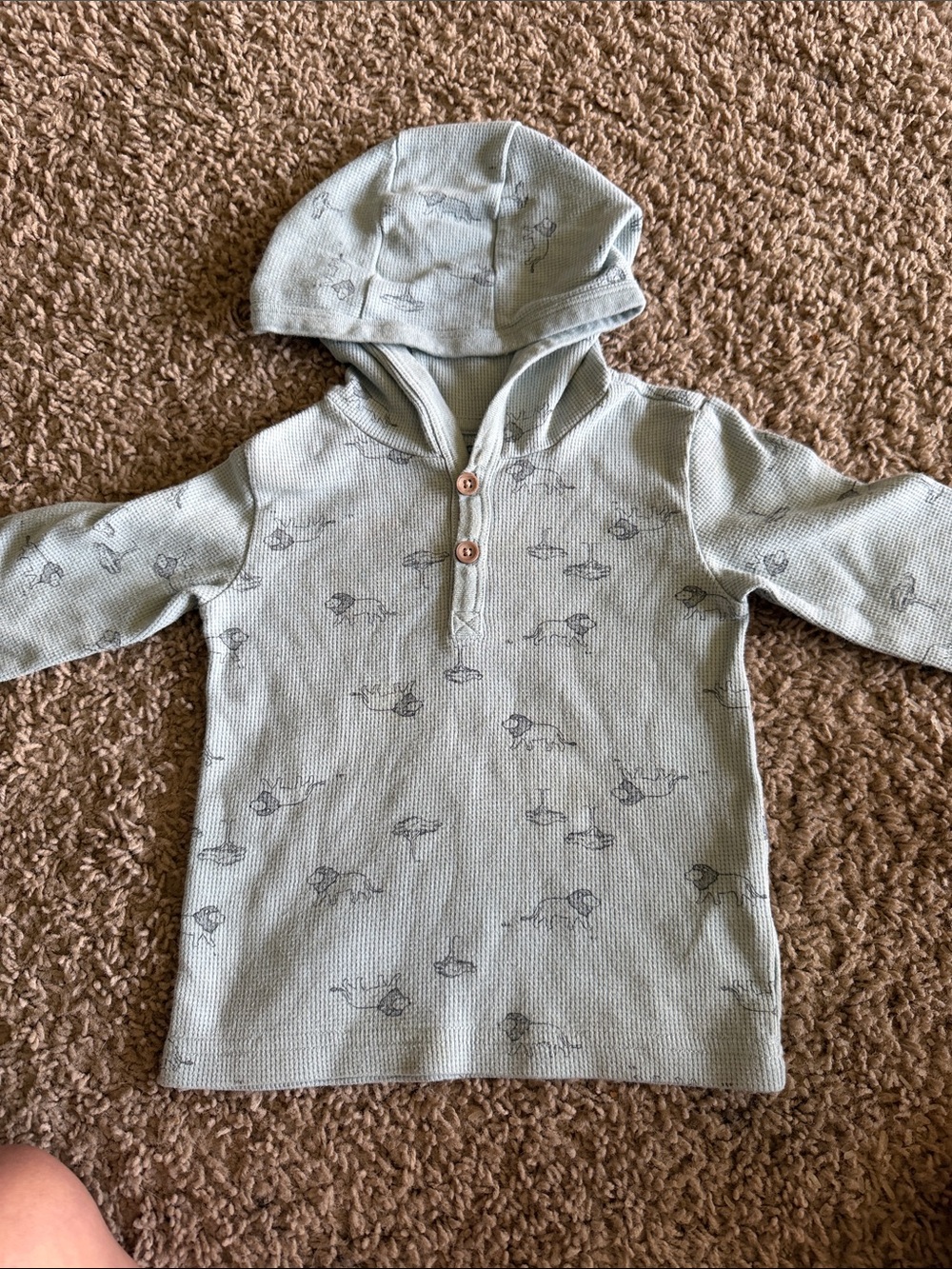 child of mine Hooded Knit Pullover in Light Sage Green with Animal Print